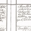 Narozen� v Bud�n� 1874