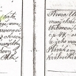 Narozen� ve Zv�kov� 1876