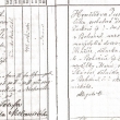 Narozen� ve Zv�kov� 1899