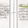 Narozen� v Puchlovic�ch 1873