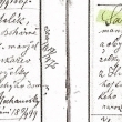 Narozen� v Homili 1902