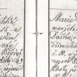 Narozen� v Bud�n� 1882